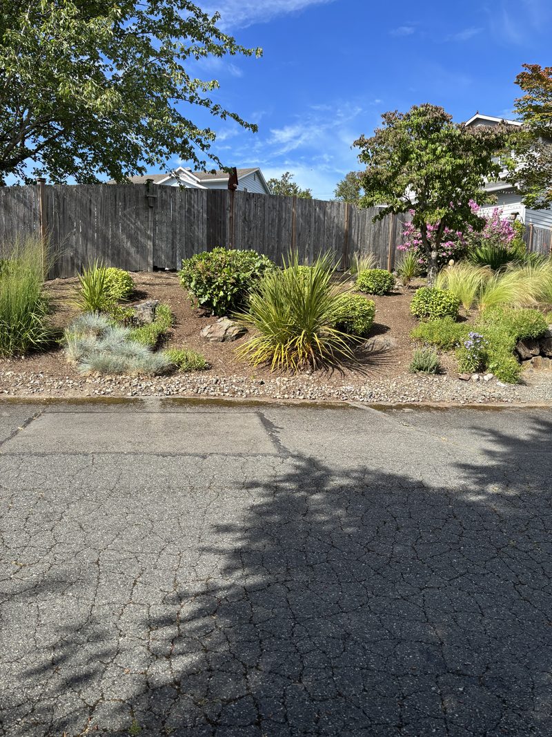 Drought-tolerant front yard bed designed and planted by ZNS Landscaping