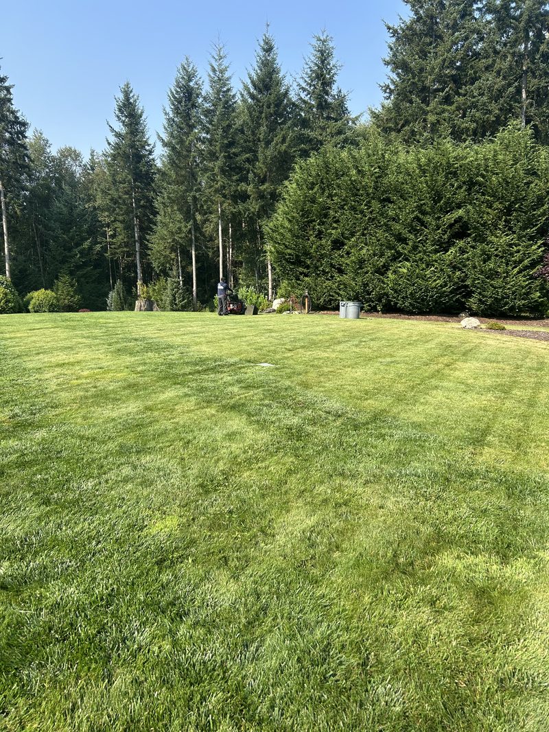 Estate lawn with fresh mowing stripes maintained by ZNS Landscaping in Arlington, WA