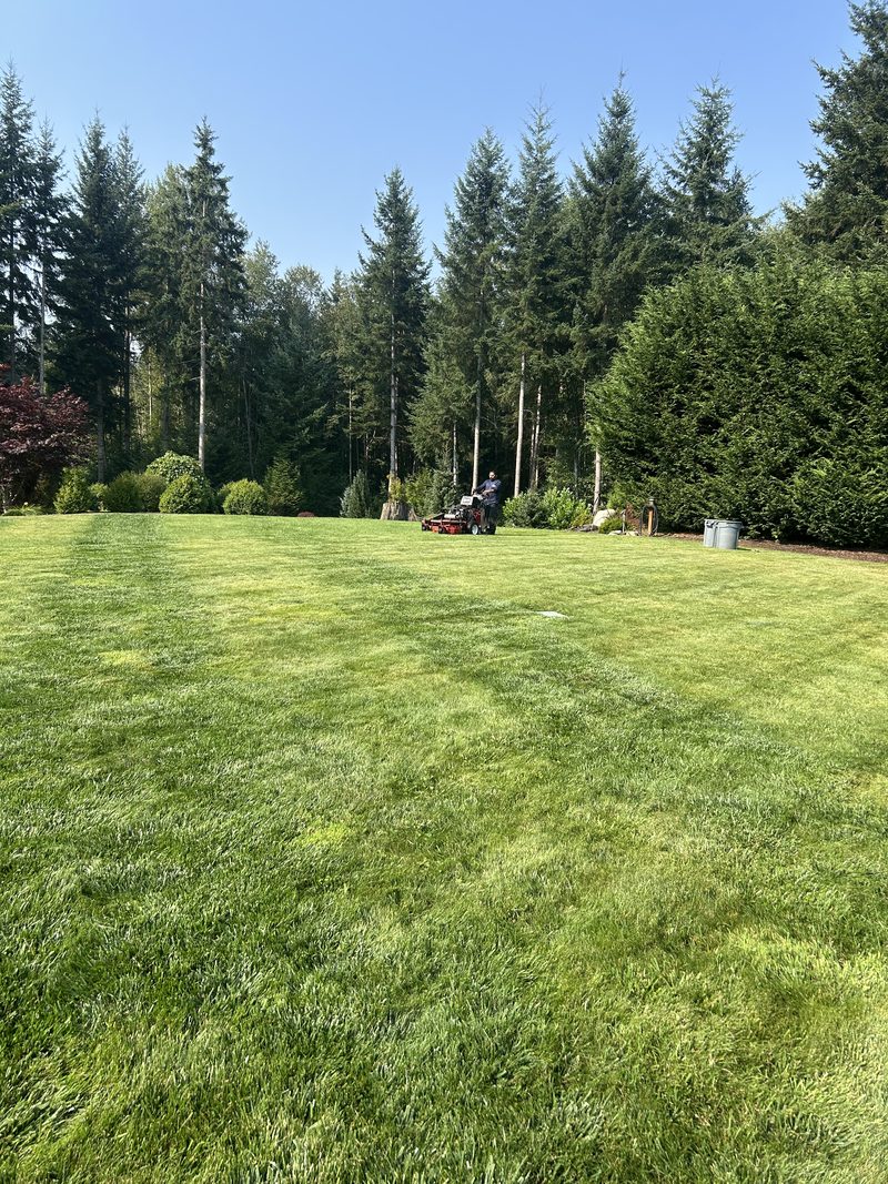 Wide lawn with clean mowing stripes cut by ZNS Landscaping
